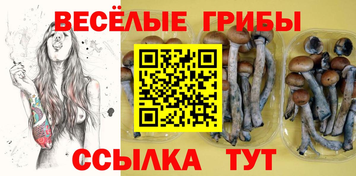 Лениногорск  Галлюциногенные грибы Psilocybe  Вход с VPN 